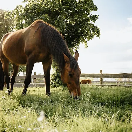 Steenhuus Am Nok شقة Steenfeld