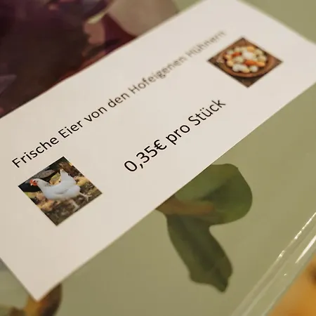 Steenhuus Am Nok * Steenfeld