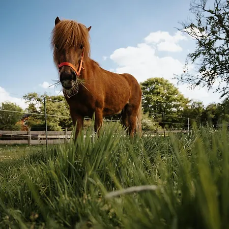 Steenhuus Am Nok * Steenfeld