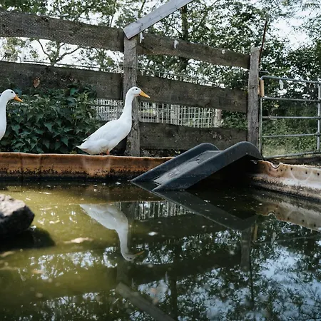 Steenhuus Am Nok شقة *