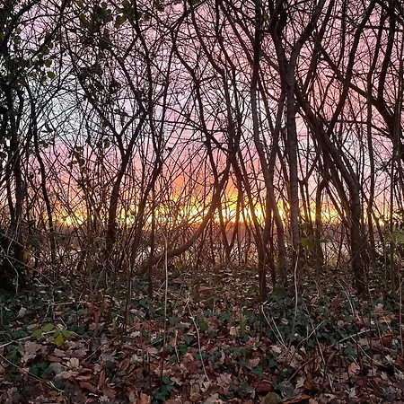 Steenhuus Am Nok Lejlighed Steenfeld