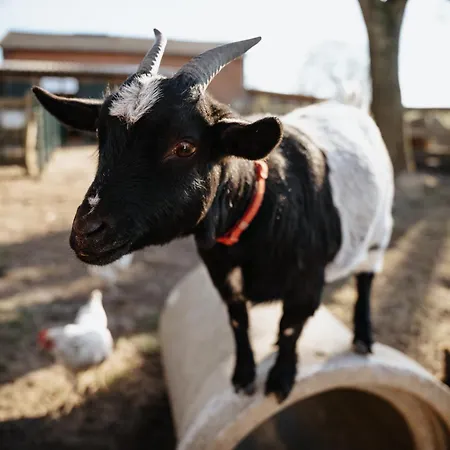 Steenhuus Am Nok Steenfeld